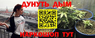 спайс Будённовск