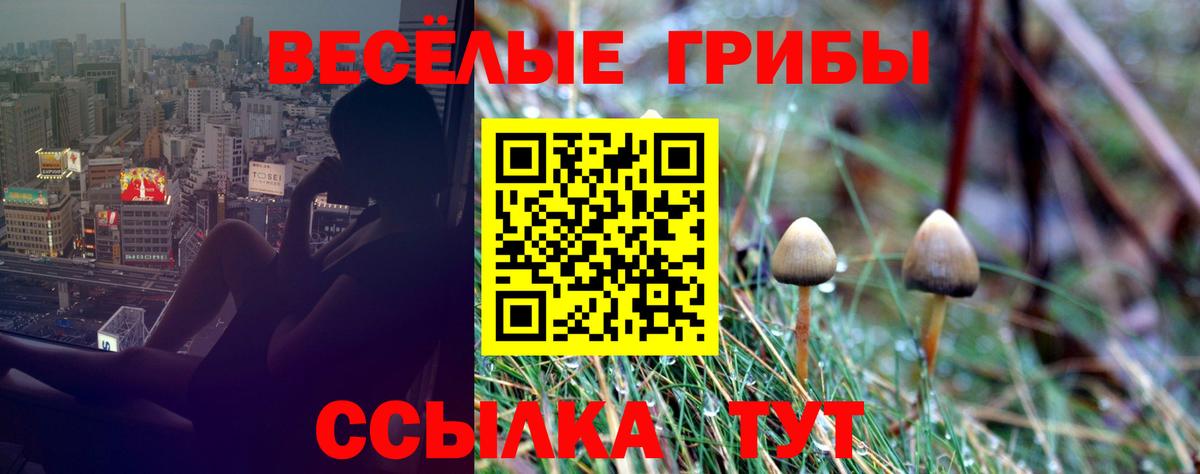 Псилоцибиновые грибы мухоморы  Вход с VPN  где купить   Омск  Галлюциногенные грибы GOLDEN TEACHER 